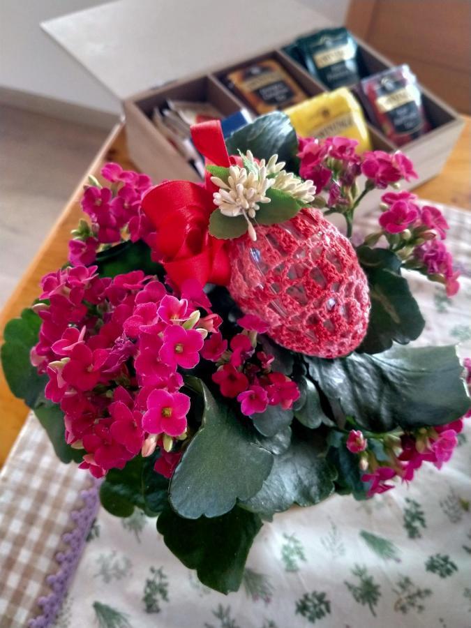 Antico Melo B&B Vignole Dış mekan fotoğraf