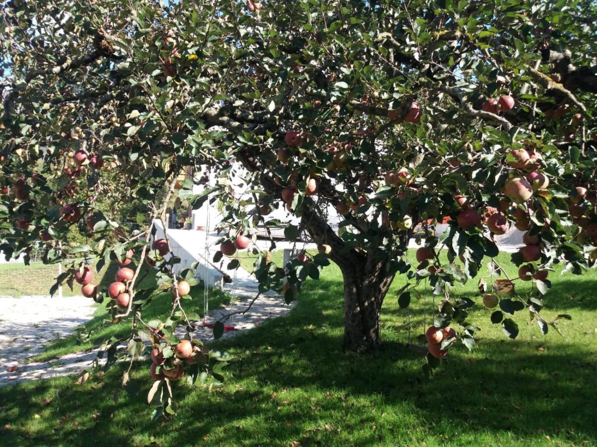 Antico Melo B&B Vignole Dış mekan fotoğraf