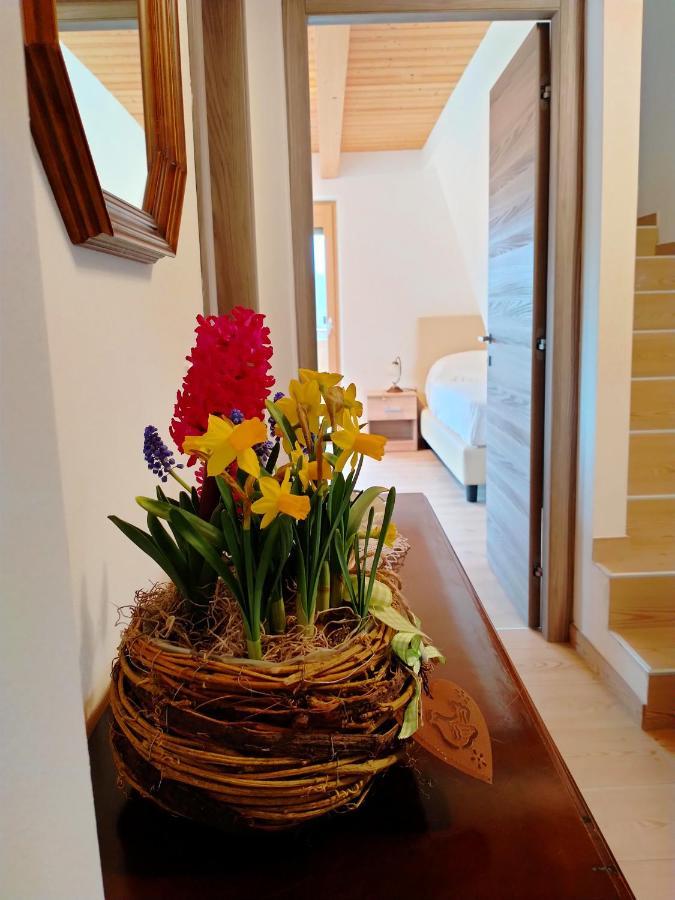 Antico Melo B&B Vignole Dış mekan fotoğraf