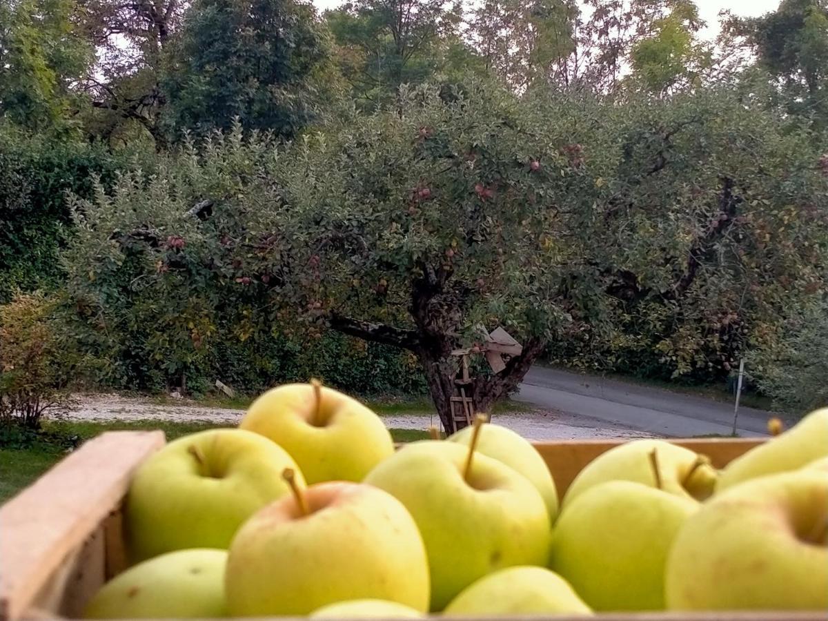 Antico Melo B&B Vignole Dış mekan fotoğraf